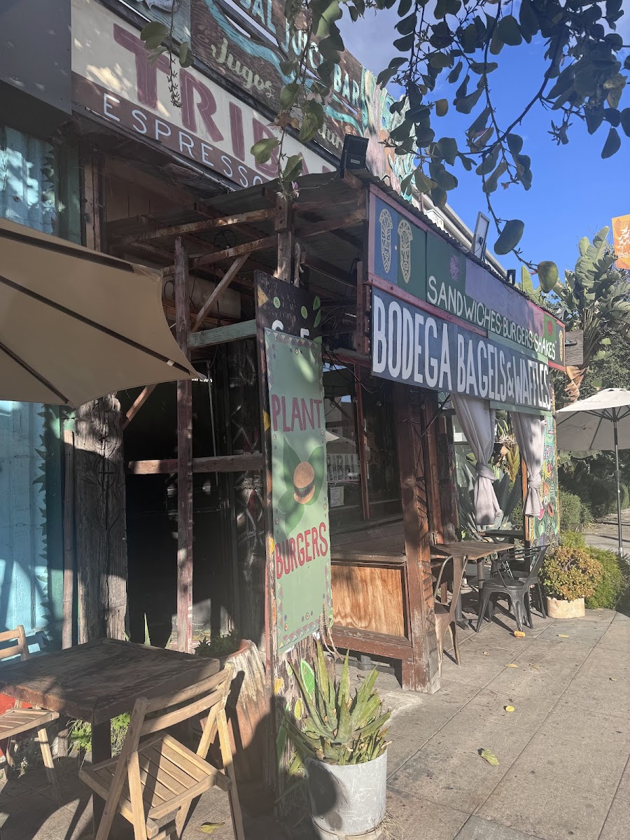Tribal Cafe
